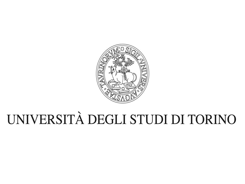 University of Turin and San Luigi Hospital